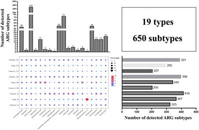 The abundance and diversity of antibiotic resistance genes in layer chicken ceca is associated with farm enviroment